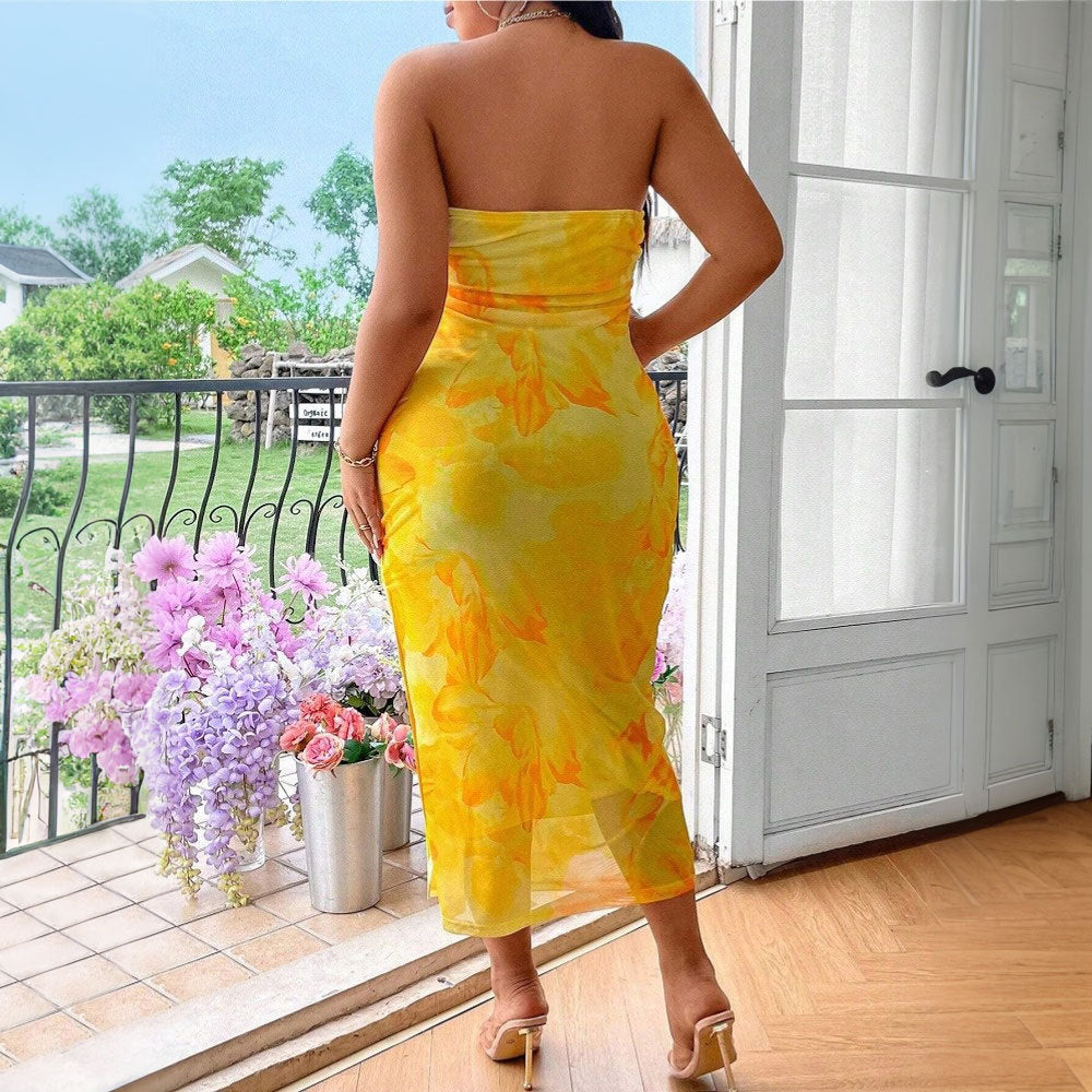 Plus Size Women's Clothing Sexy Print Dress
