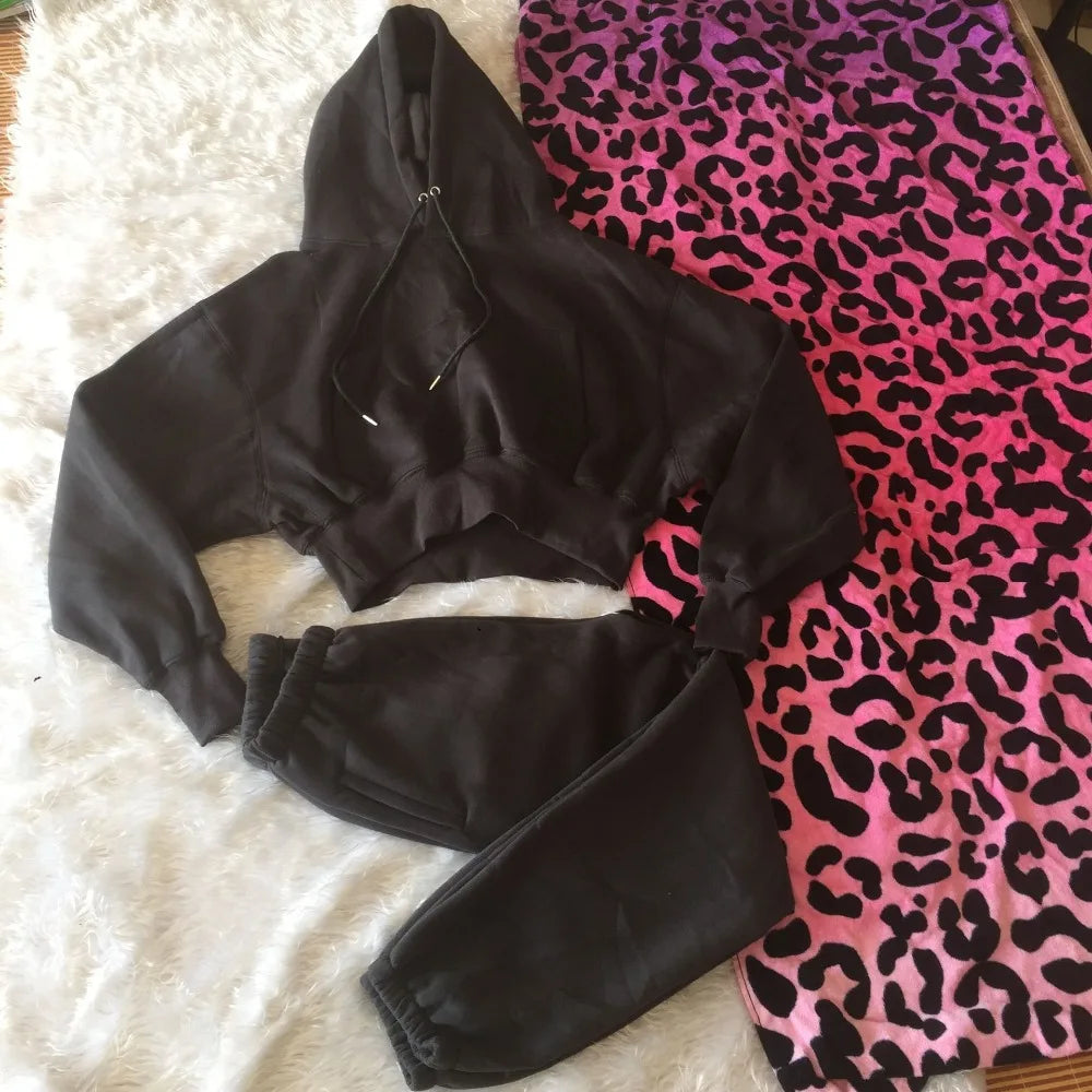 Wholesale Fleece Hoodie with Jogger Pant Sweat Suit Fall Winter 2 Piece Set Tracksuit Women Sports Outfit Two Piece Solid Casual