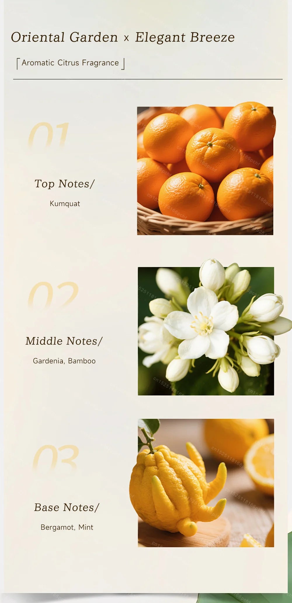 Eau De Toilette for Men and Women Floral Notes Body Spray Brand Long-Lasting Encounter Perfume Attract Women Fragrances