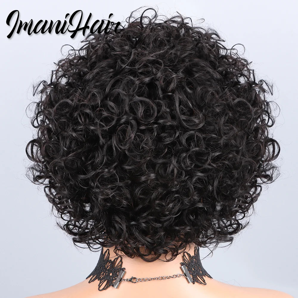 Short Curly Pixie Cut Lace Front Wigs 6 inch, 13X1 Human Hair HD Lace Front Wigs Plucked for Black Women 6 Inch, Natural Black