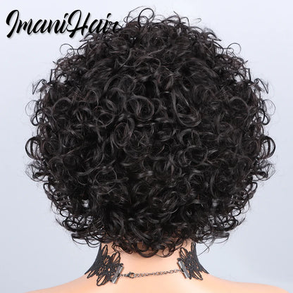 Short Curly Pixie Cut Lace Front Wigs 6 inch, 13X1 Human Hair HD Lace Front Wigs Plucked for Black Women 6 Inch, Natural Black