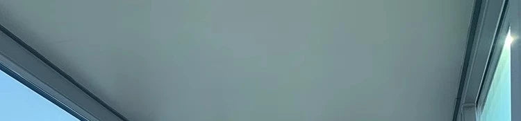 White Large Fur Collar down Jaet Women's 2025 Winter New Design Ultra Slim Lightweight Hooded White Du down Outerwear