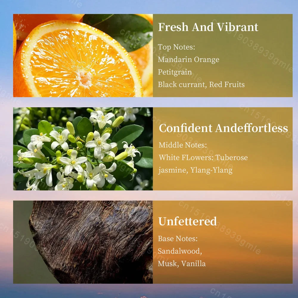 100ML Women Perfume Original Brand Eau De Parfum Long Lasting Classic Mature Woman Perfumes Natural Floral Fragrance Body Spray