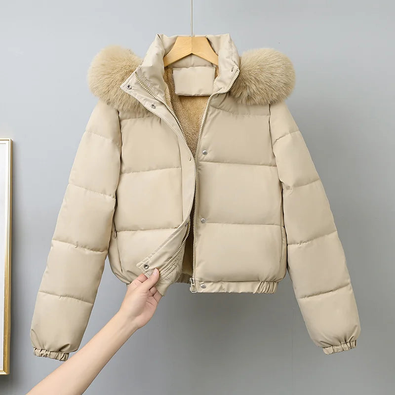 Winter Short Parkas Women's Cotton-padded Clothes Add Velvet Thicken Outerwear Fur Collar Removable Hooded Coats Warm Jackets