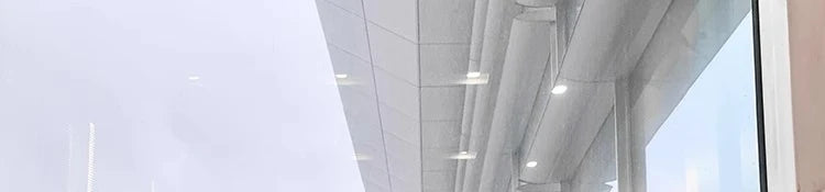 White Large Fur Collar down Jaet Women's 2025 Winter New Design Ultra Slim Lightweight Hooded White Du down Outerwear