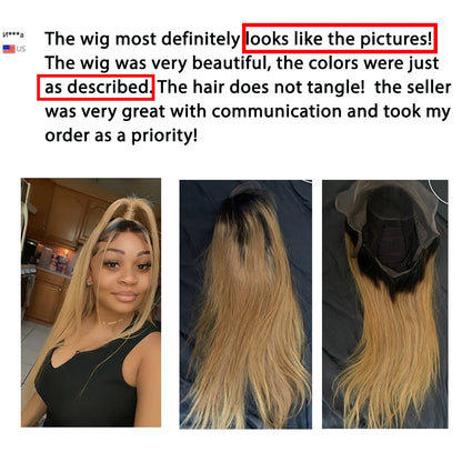 1B 27 Honey Blonde Wig Hd Lace Front Wigs Blonde Lace Front Wig Straight Human Hair Wig Brazilian Remy Colored For Women 30 Inch