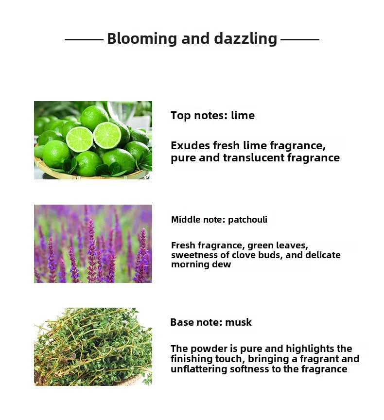 New  Perfume, Viral Men's & Women's Fresh Light Fragrance, Premium Gift Set for Birthdays, Eau de Toilette parfum femme homme