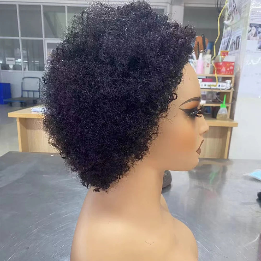 Glueless Wigs Ready To Wear Go Pixie Cut Wigs Short Kinky Curly Human Hair Wigs Slide Part Brazilian Jerry Curl 4x4 Closure Wigs