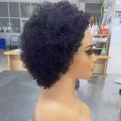 Glueless Wigs Ready To Wear Go Pixie Cut Wigs Short Kinky Curly Human Hair Wigs Slide Part Brazilian Jerry Curl 4x4 Closure Wigs