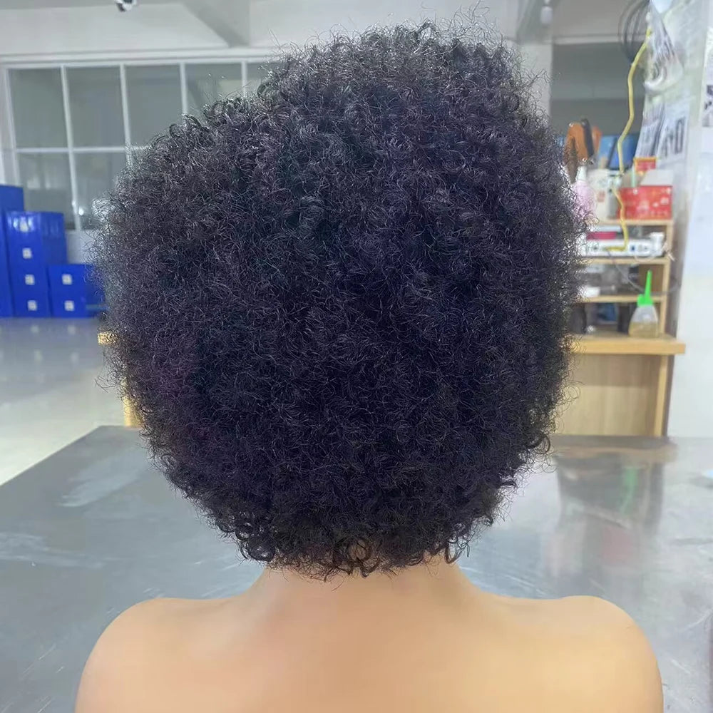 Glueless Wigs Ready To Wear Go Pixie Cut Wigs Short Kinky Curly Human Hair Wigs Slide Part Brazilian Jerry Curl 4x4 Closure Wigs