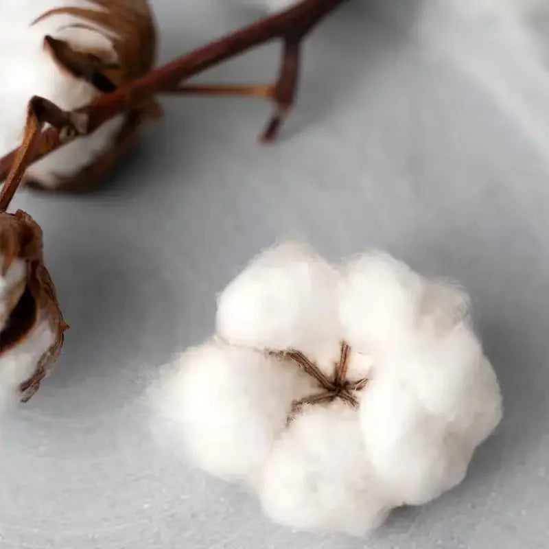 2025 Fashion Versatile Casual Cotton Men's Hoodie Comfortable Street Vintage Hip Hop Loose Hoodie Unisex Autumn and Winter