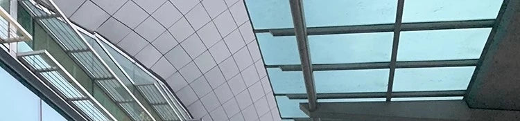 White Large Fur Collar down Jaet Women's 2025 Winter New Design Ultra Slim Lightweight Hooded White Du down Outerwear