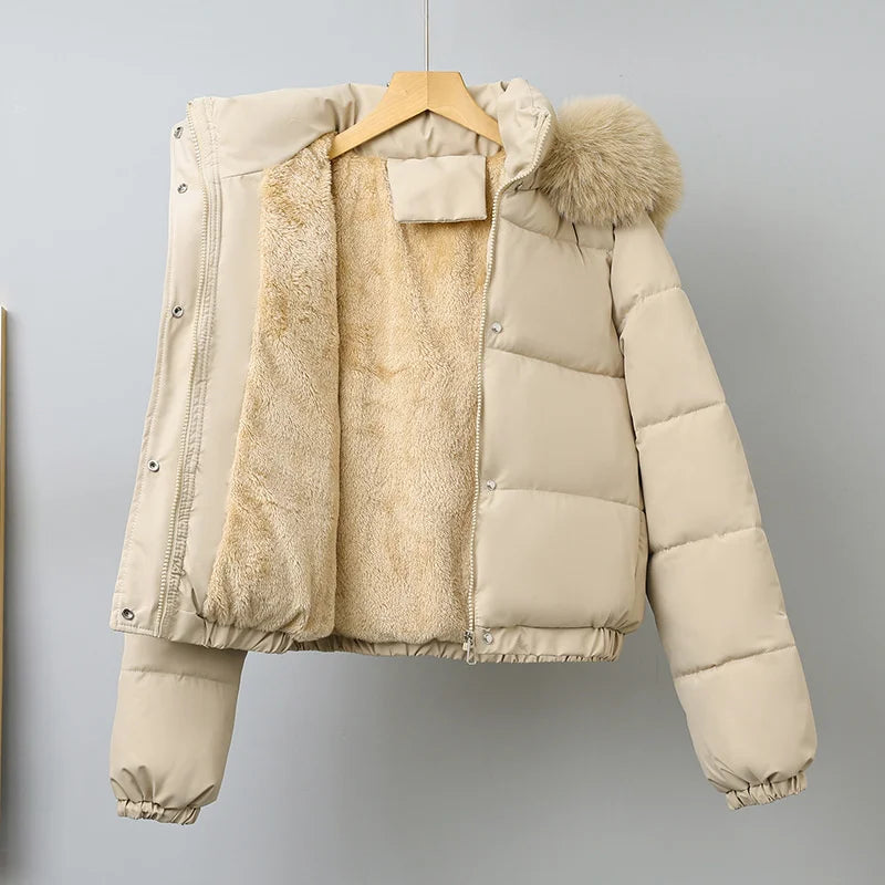 Winter Short Parkas Women's Cotton-padded Clothes Add Velvet Thicken Outerwear Fur Collar Removable Hooded Coats Warm Jackets