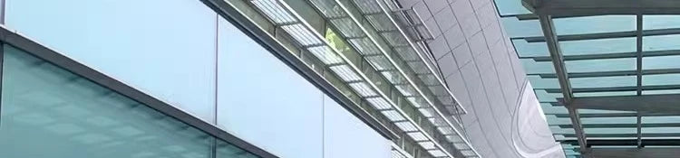 White Large Fur Collar down Jaet Women's 2025 Winter New Design Ultra Slim Lightweight Hooded White Du down Outerwear