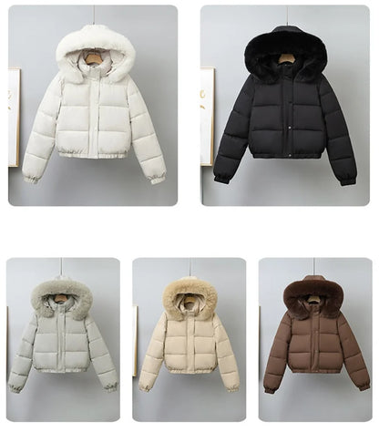 Winter Short Parkas Women's Cotton-padded Clothes Add Velvet Thicken Outerwear Fur Collar Removable Hooded Coats Warm Jackets
