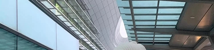 White Large Fur Collar down Jaet Women's 2025 Winter New Design Ultra Slim Lightweight Hooded White Du down Outerwear