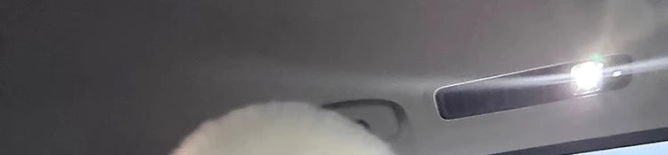 White Large Fur Collar down Jaet Women's 2025 Winter New Design Ultra Slim Lightweight Hooded White Du down Outerwear