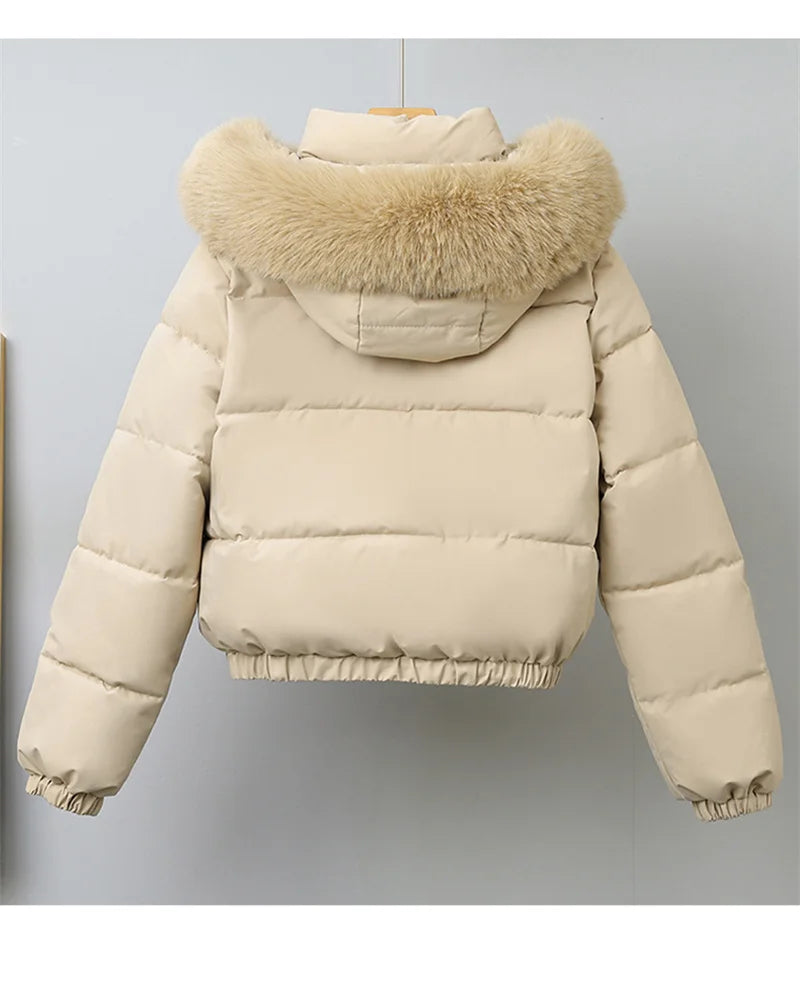 Winter Short Parkas Women's Cotton-padded Clothes Add Velvet Thicken Outerwear Fur Collar Removable Hooded Coats Warm Jackets