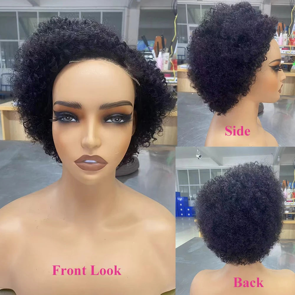 Glueless Wigs Ready To Wear Go Pixie Cut Wigs Short Kinky Curly Human Hair Wigs Slide Part Brazilian Jerry Curl 4x4 Closure Wigs