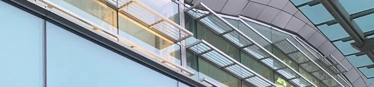 White Large Fur Collar down Jaet Women's 2025 Winter New Design Ultra Slim Lightweight Hooded White Du down Outerwear