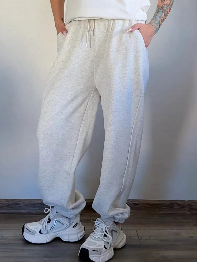 Thick Warm Fleece Sweatpants Women Winter Straight Leg Pants Gray Velvet Trousers Pants Jogger For Women Sweatpants Outfits