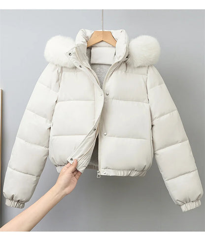 Winter Short Parkas Women's Cotton-padded Clothes Add Velvet Thicken Outerwear Fur Collar Removable Hooded Coats Warm Jackets