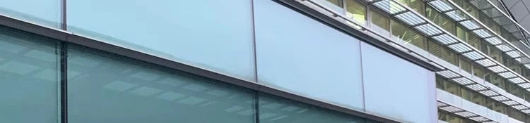 White Large Fur Collar down Jaet Women's 2025 Winter New Design Ultra Slim Lightweight Hooded White Du down Outerwear