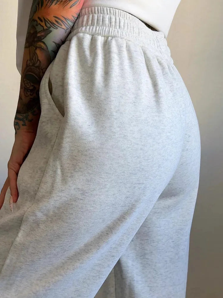 Thick Warm Fleece Sweatpants Women Winter Straight Leg Pants Gray Velvet Trousers Pants Jogger For Women Sweatpants Outfits