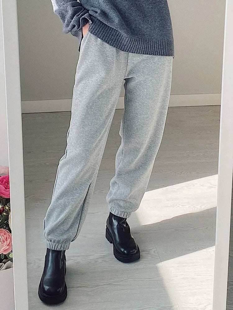 Thick Warm Fleece Sweatpants Women Winter Straight Leg Pants Gray Velvet Trousers Pants Jogger For Women Sweatpants Outfits