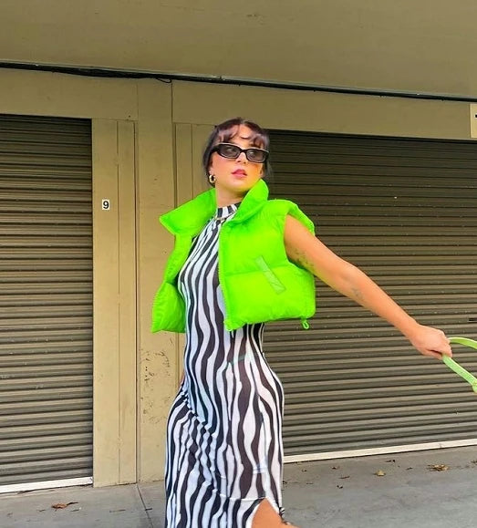 Fall Winter Warm Cropped Vest Jackets for Women Fashion Sleeveless Stand Collar Zip Up Puffer Waistcoat Street Style Outwear